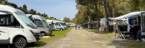 Le soste segnalate da CamperOnLine: Camping Mare Blu Cecina Mare (LI)