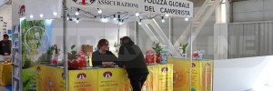 Toninelli Assicurazioni a Liberamente 2026