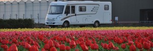 Keukenhof: in camper nel paradiso dei tulipani