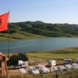 bashkim
