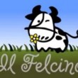 Felcino