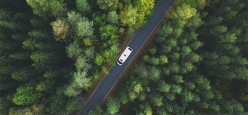 Ecco alcune proposte in Italia e all’estero, tra mare, lago, montagna, città e parchi