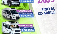 Camping Sport Magenta