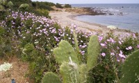 Sardegna fuori stagione