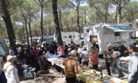 CamperOnFest 2025