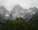 Slovenia  foto 4