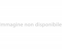 -Altro- FORD TOURNEO CUSTOM