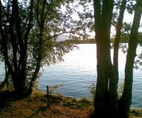 Viaggio al Nord