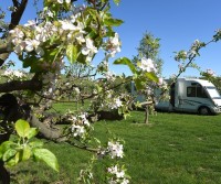 Agricamping La Rosa nel Borgo