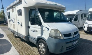 McLouis .TANDY PLUS 365