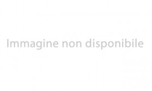 -Altro- MALIBU  VAN FIRST CLASS - TWO ROOMS 640 LE RB GT