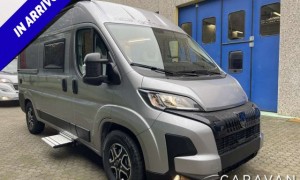 -Altro- GIOTTIVAN 54 T