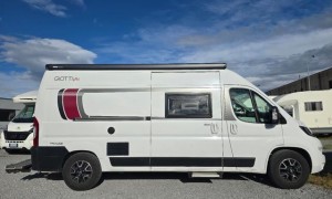 Giottiline GIOTTILINE GIOTTI VAN PRIVILEGE 60B