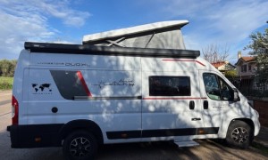 Roller Team LIVINGSTONE DUO XL SPORT LIMITED 636