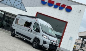 Roller Team LIVINGSTONE 2 SPORT LIMITED SELEKT 