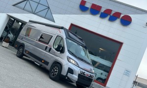 Roller Team LIVINGSTONE DUO XL LIMITED SPORT 