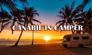 Canarie in camper