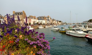 Francia in camper: Loira Atlantica e un po' di interno