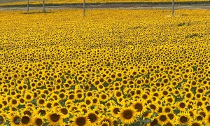 Viaggio in Romania in camper