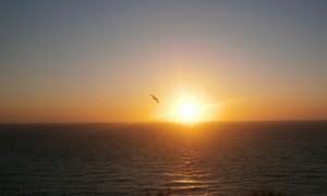 Normandia e Bretagna in camper 2025