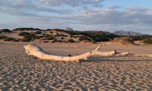 Il paradiso può attendere, la Sardegna no! Tour in camper.