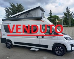 Rollerteam livingstone 2 sport limite...