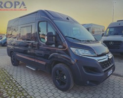 Robeta robeta ares 2024