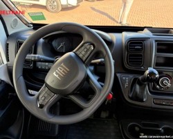 Altro dreamer fun d55 20 years 2025