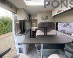 Rollerteam livingstone duo sport 2024