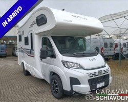 Giottiline giottiline siena 422 2026