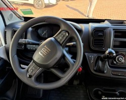 Altro dreamer fun d55 20 years 2025