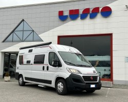 Rollerteam livingstone 2 sport 2019