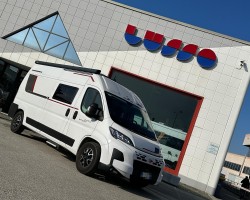 Rollerteam livingstone 5 sport limite...