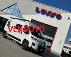 Rollerteam livingstone 5 sport limite...