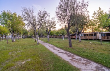 Adriatico Family Camping Village