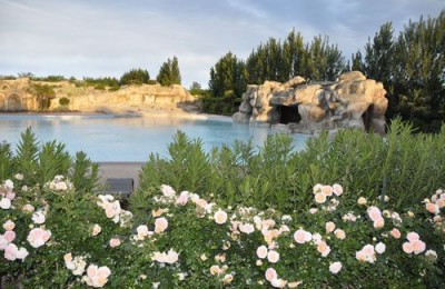 Tahiti Camping & Thermae Bungalow Park...