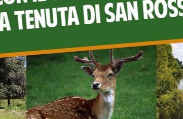 Con Carthago in camper nel Parco