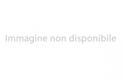 Van, Furgonato Carado Van V347