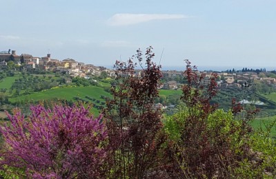 Mar y Sierra Camping Village