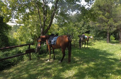 Agricampeggio La Stadera