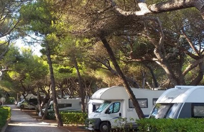 Camping Belmare