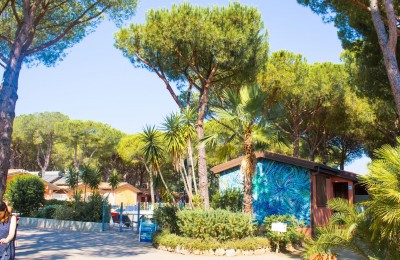 Il Gabbiano Camping Village