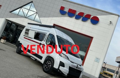 Van, Furgonato Roller Team Livingstone 5 Go 