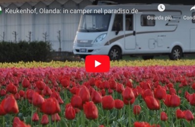 Keukenhof, Olanda: in camper nel paradiso dei tulipani