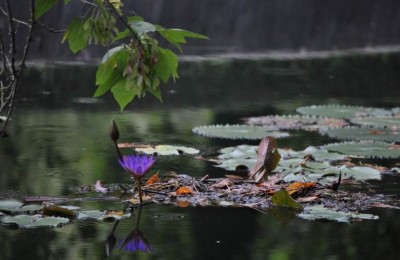 Ungheria e Slovacchia paesi di terme e castelli in camper