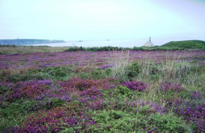 Ancora Loira e Bretagna in camper
