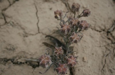 I pensionati cambiano rotta in camper