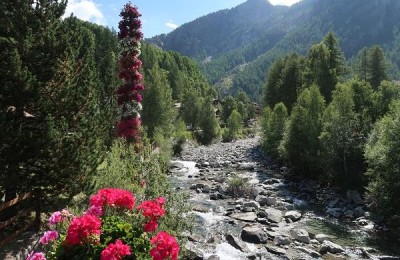 Valle d'Aosta 2021 in camper