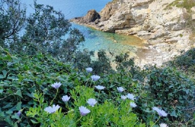 Pasqua 2023 all'Elba in camper