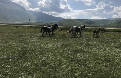 Umbria: Norcia e Castelluccio in camper